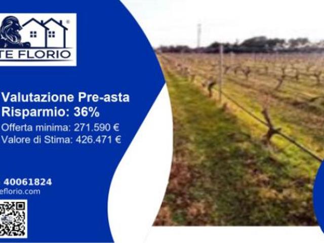 Terreno in vendita a Puglia, Brindisi