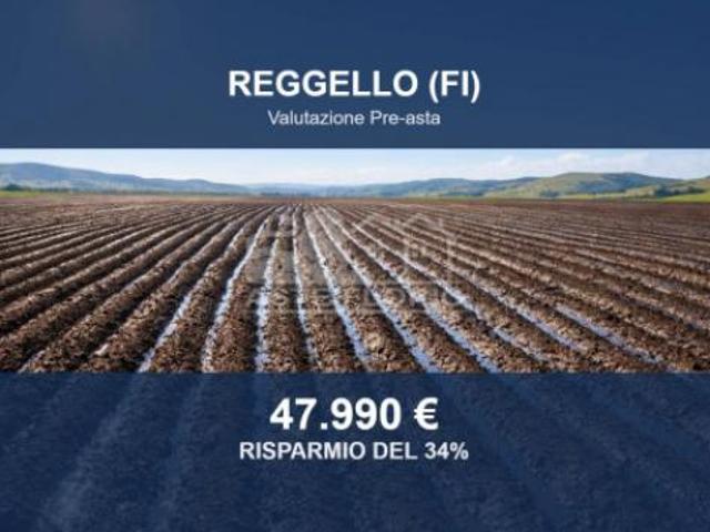 Terreno in vendita a Unione di Comuni Valdarno e Valdisieve, Reggello