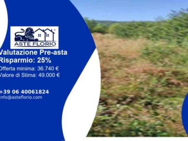 Terreno in vendita a Cenerente, Umbria