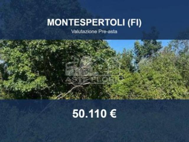 Terreno in vendita a Unione dei Comuni Circondario dell'Empolese Valdelsa, Montespertoli