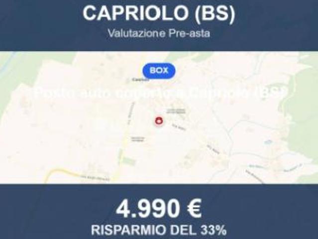 Box in vendita a Capriolo, Lombardia