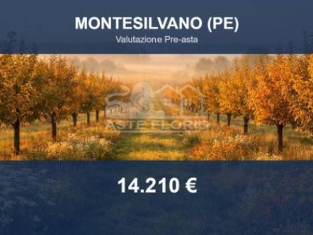 Terreno in vendita a Montesilvano, Abruzzo