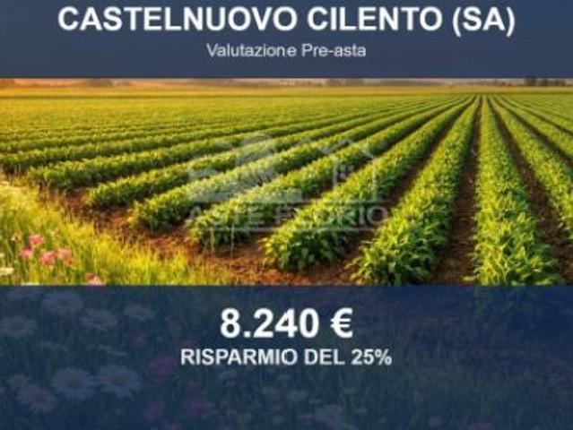Terreno in vendita a Castelnuovo Cilento, Campania