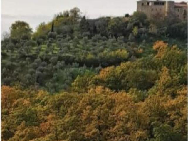 Terreno in vendita a Molinara, Campania
