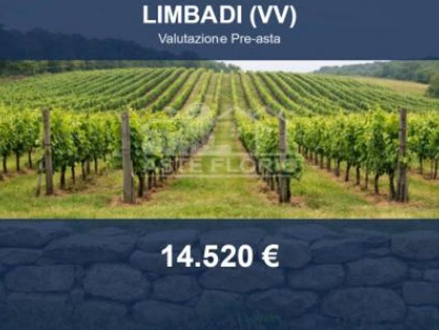 Terreno in vendita a Calabria, Vibo Valentia