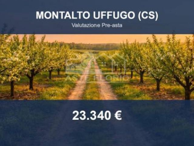 Terreno in vendita a Calabria, Cosenza