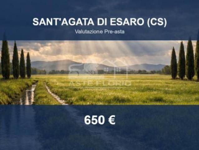 Terreno in vendita a Calabria, Cosenza