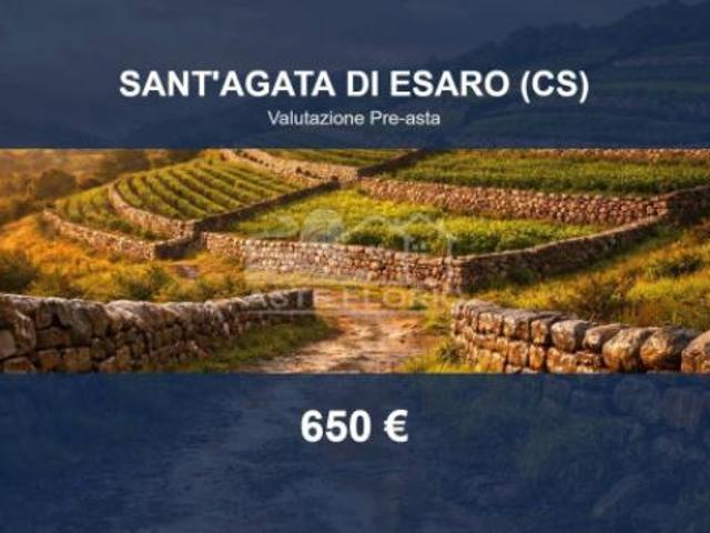 Terreno in vendita a Calabria, Cosenza