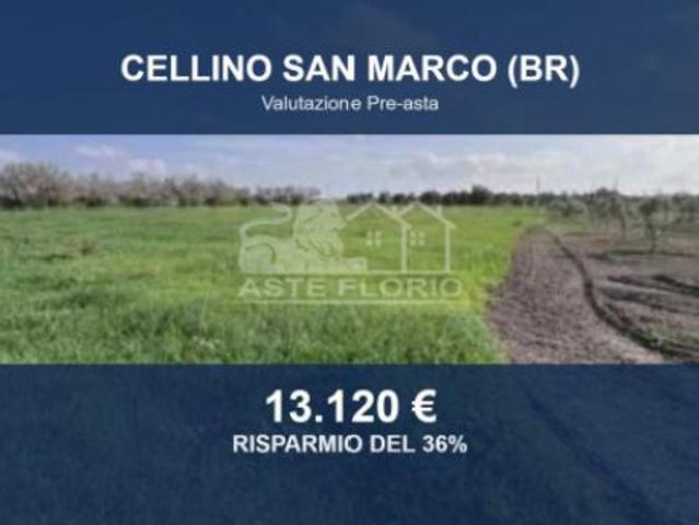 Terreno in vendita a Puglia, Brindisi