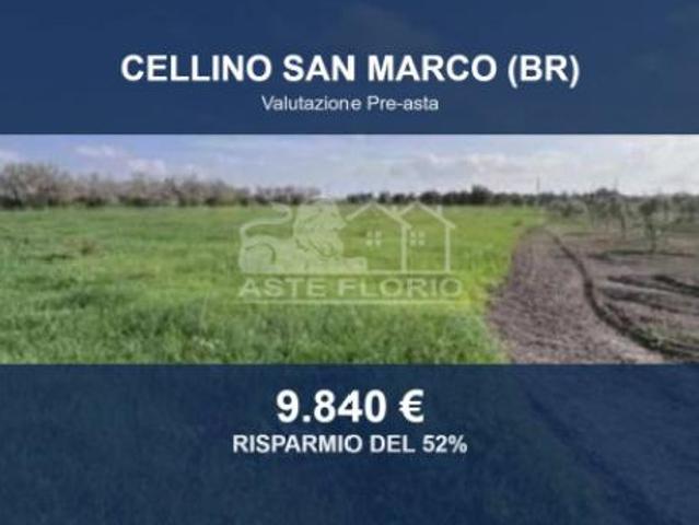 Terreno in vendita a Puglia, Brindisi