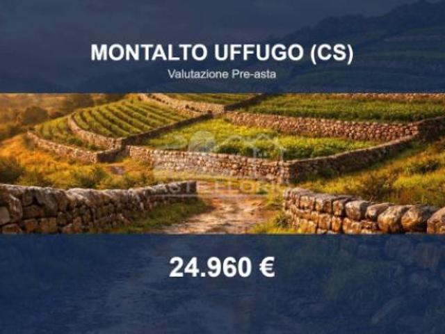 Terreno in vendita a Montalto Uffugo, Cosenza