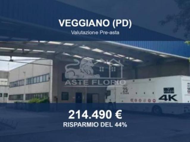 Capannone in vendita a Veggiano, Veneto
