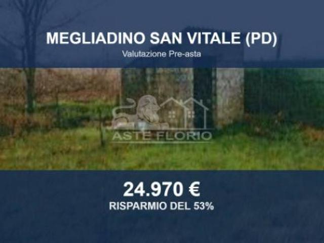 Villa Indipendente in vendita a Megliadino San Vitale, Veneto