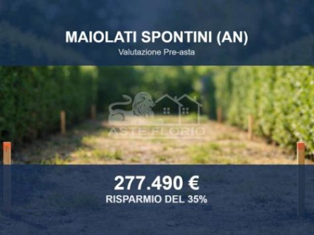 Terreno in vendita a Marche, Ancona