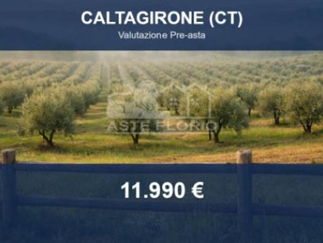 Terreno in vendita a Caltagirone, Sicilia