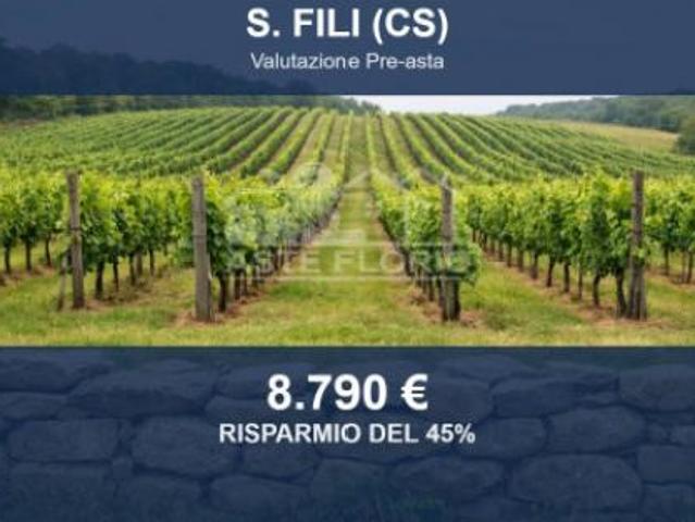 Terreno in vendita a San Fili, Cosenza