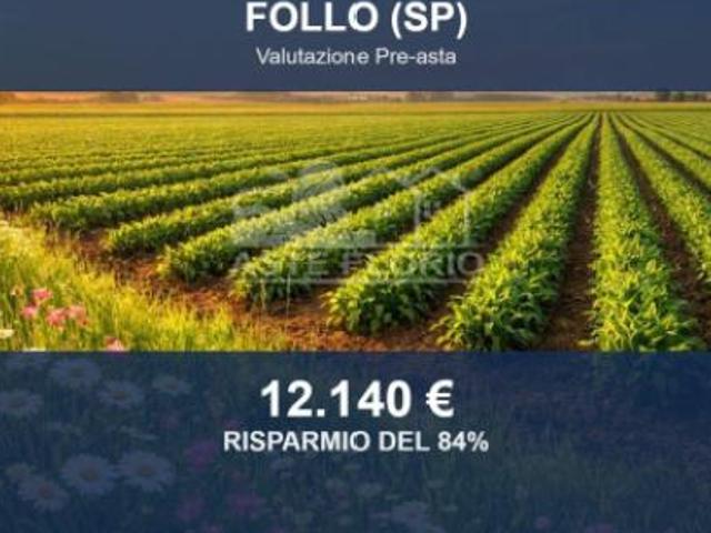 Terreno in vendita a Follo, Liguria