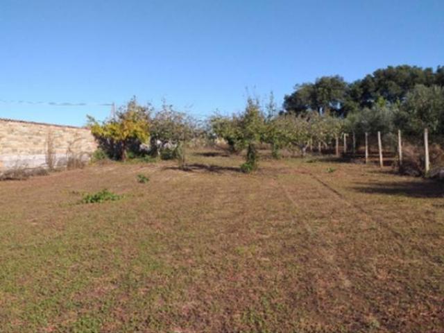 Terreno in vendita a Ospedaletto, Roma Capitale