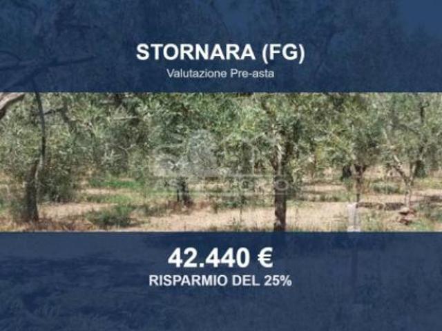 Terreno in vendita a Puglia, Foggia