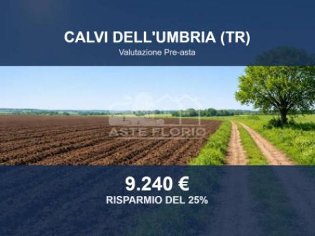 Terreno in vendita a Calvi Dell'umbria, Umbria