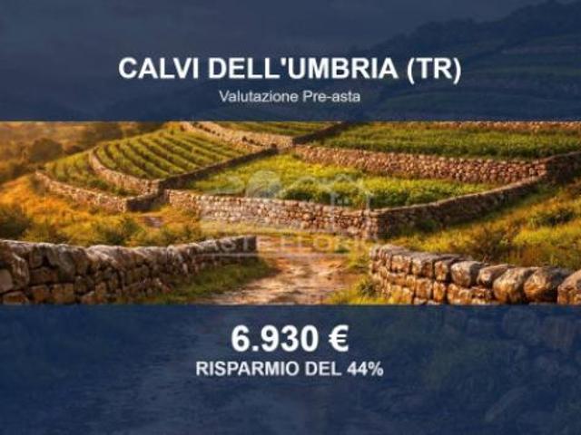 Terreno in vendita a Calvi Dell'umbria, Umbria