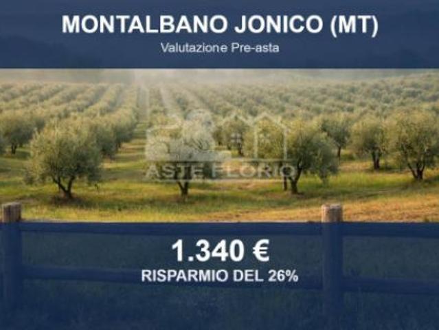 Terreno in vendita a Montalbano Jonico, Basilicata