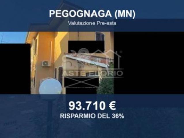 Villa Indipendente in vendita a Pegognaga, Lombardia