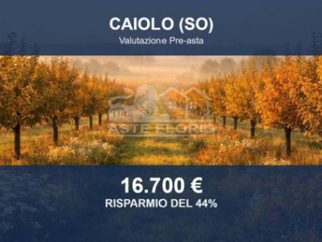 Terreno in vendita a Caiolo, Lombardia