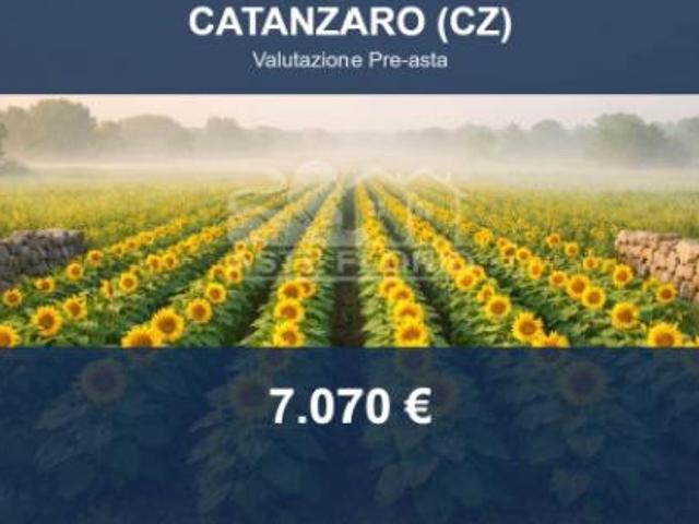 Terreno in vendita a Sant'Elia, Calabria