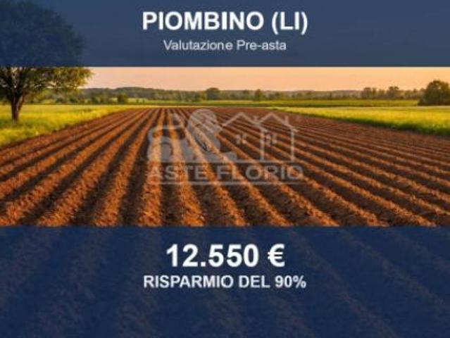 Terreno in vendita a Tolla, Piombino
