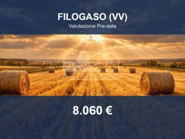 Terreno in vendita a Calabria, Vibo Valentia