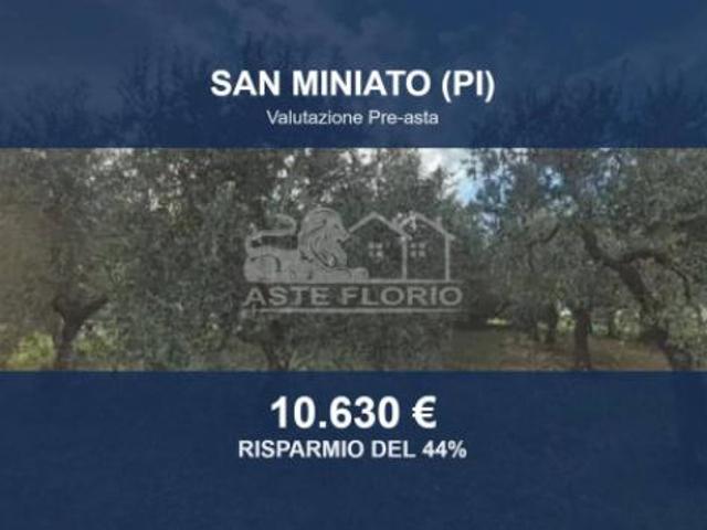 Terreno in vendita a San Miniato, Toscana