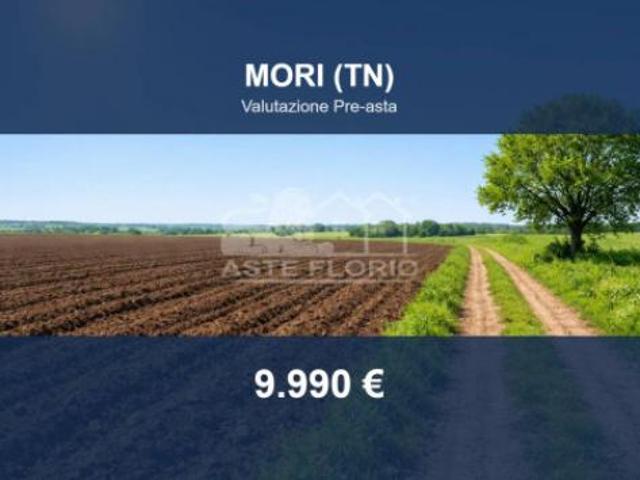 Terreno in vendita a Comunità della Vallagarina, Mori