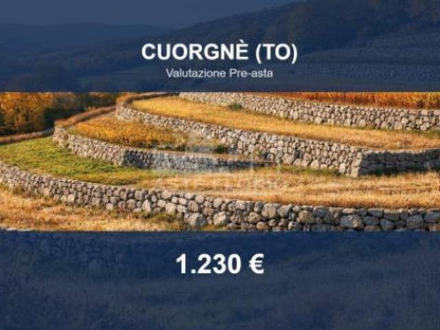 Terreno in vendita a Piemonte, Torino