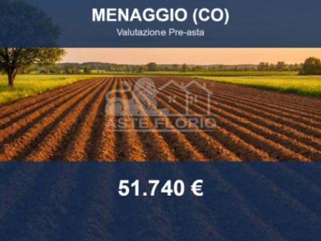 Terreno in vendita a Menaggio, Lombardia