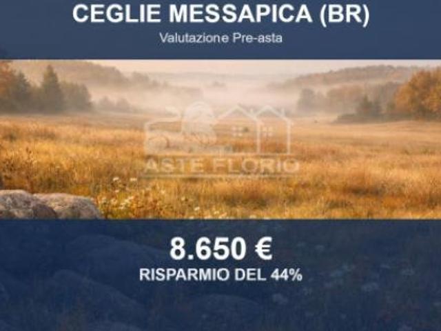Terreno in vendita a Puglia, Brindisi