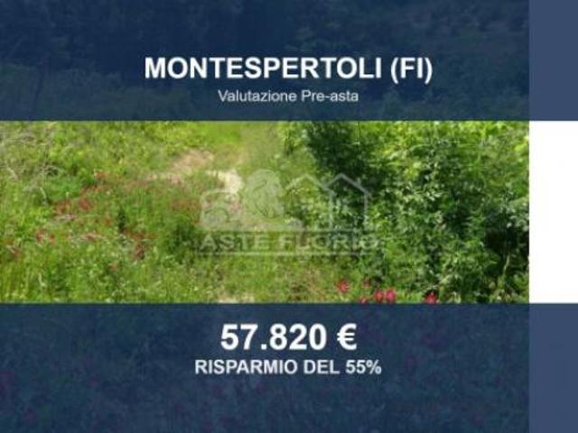 Terreno in vendita a Unione dei Comuni Circondario dell'Empolese Valdelsa, Montespertoli