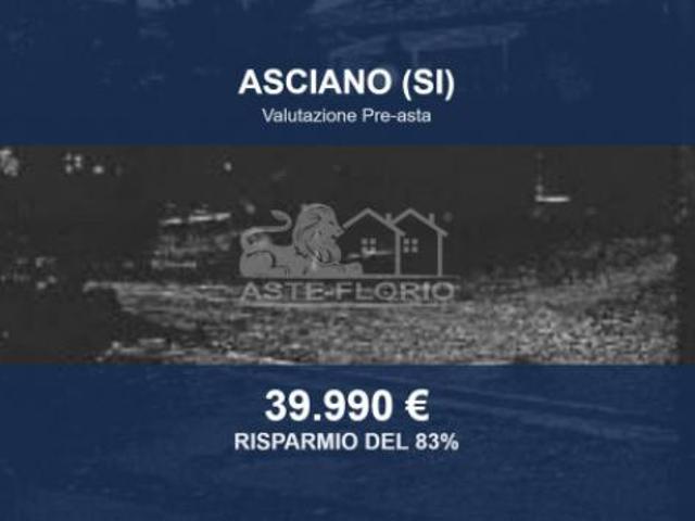 Capannone in vendita a Asciano, Toscana