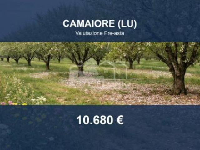 Terreno in vendita a Camaiore, Toscana