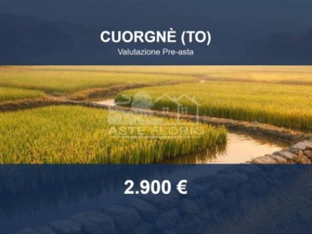 Terreno in vendita a Piemonte, Torino