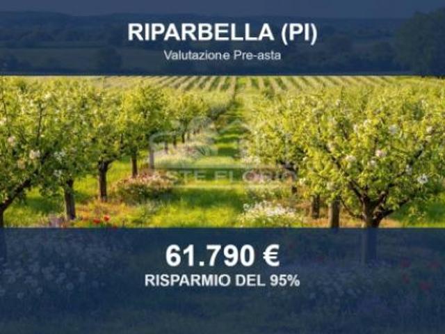 Terreno in vendita a Riparbella, Toscana
