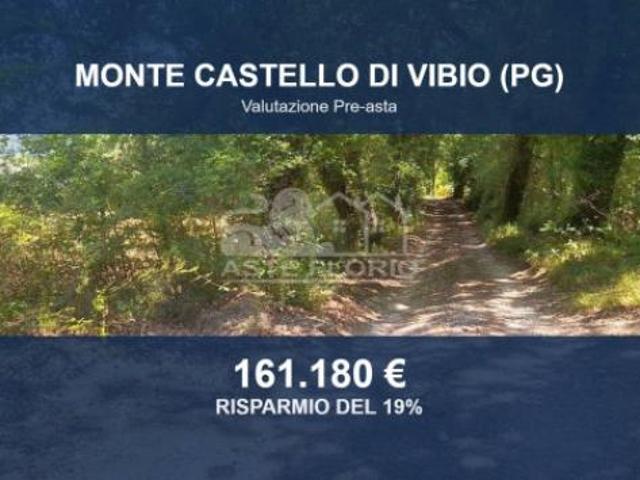 Terreno in vendita a Comunità Valsugana e Tesino, Castello Tesino