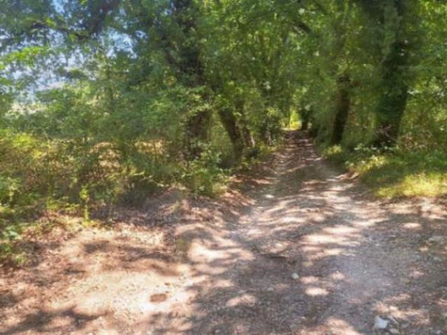 Terreno in vendita a Monte Castello Di Vibio, Umbria