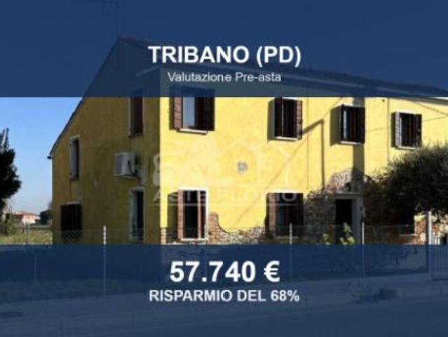 Villa Indipendente in vendita a Tribano, Veneto