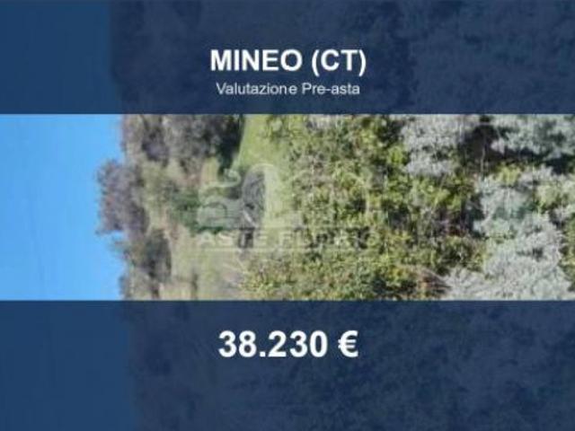 Terreno in vendita a Mineo, Sicilia