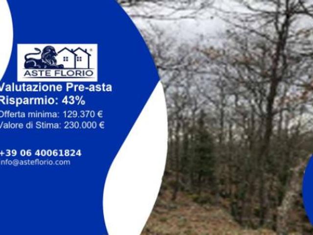 Terreno in vendita a Puglia, Foggia