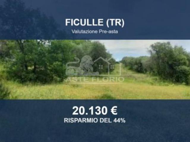 Terreno in vendita a Cappuccini, Ficulle