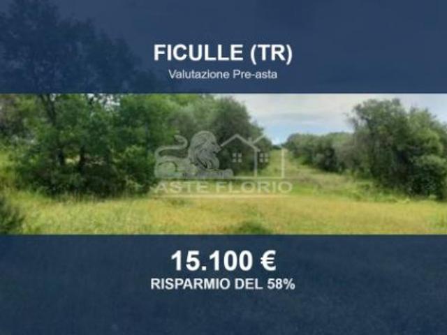 Terreno in vendita a Cappuccini, Ficulle