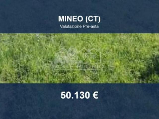 Terreno in vendita a Mineo, Sicilia
