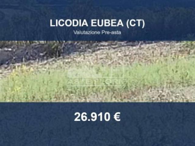 Terreno in vendita a Licodia Eubea, Sicilia